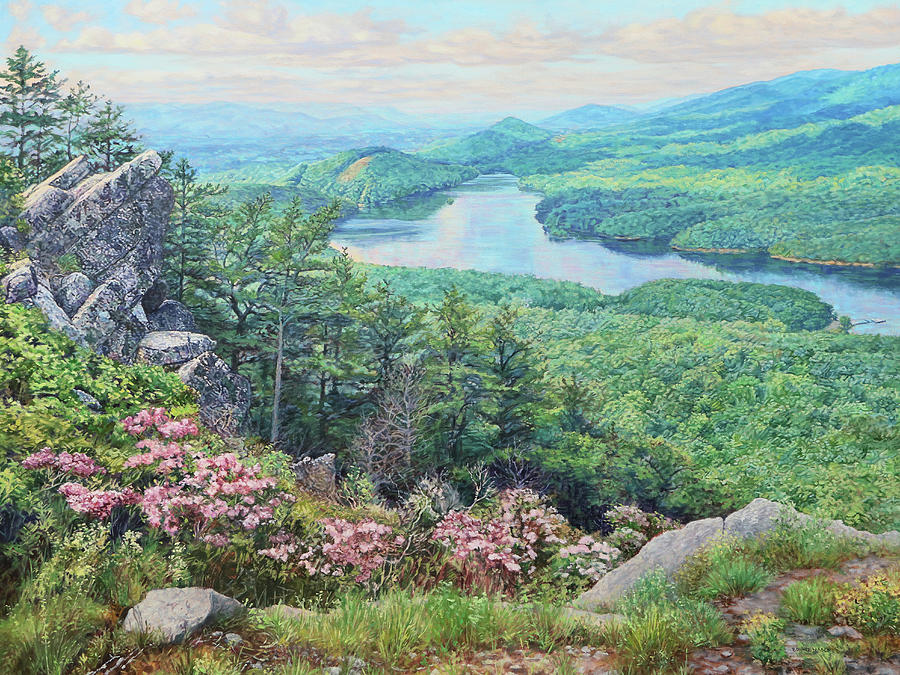 Spring Painting - Carvins Cove - From Hay Rock Trail by Bonnie Mason