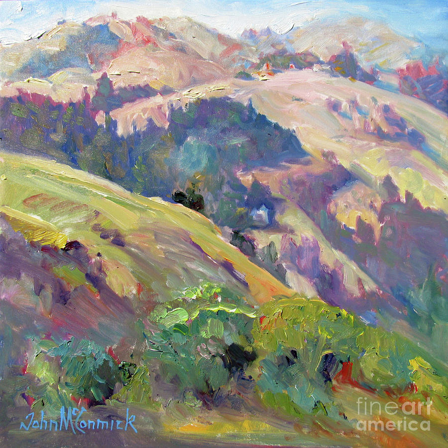 Casadero Hills Painting by John McCormick