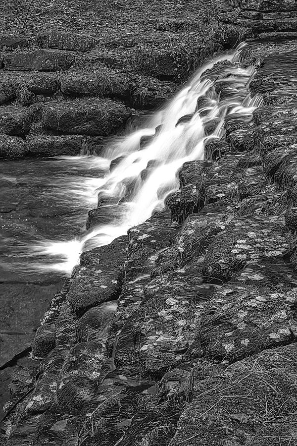 Cascade And Fall Foliage BW Photograph by Susan Candelario