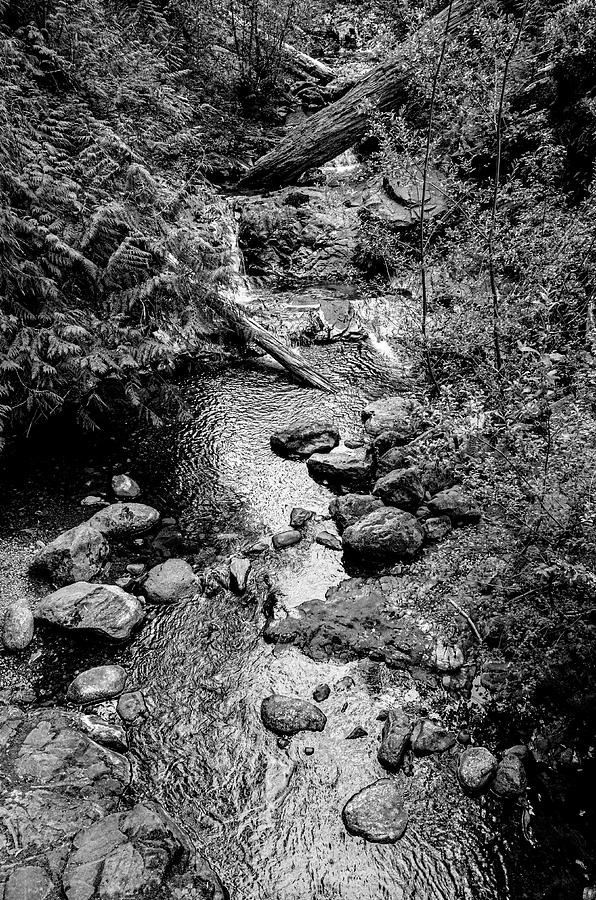 Cascade Creek Photograph by Frank Winters - Fine Art America