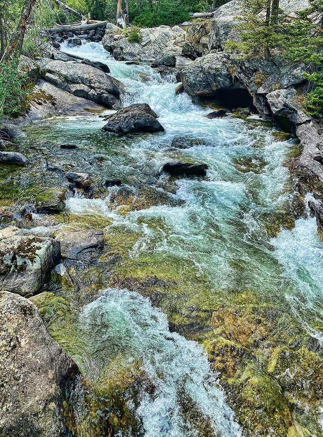 Cascade Creek Splash Photograph by Cricket Hackmann