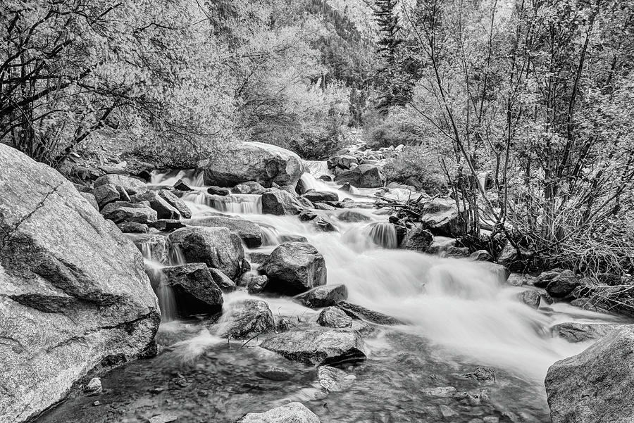 Cascade Falls Colorado Black and White Photograph by JC Findley