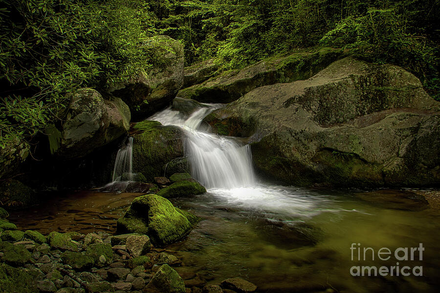 Cascade in the Cherokee National Forest Photograph by Shelia Hunt