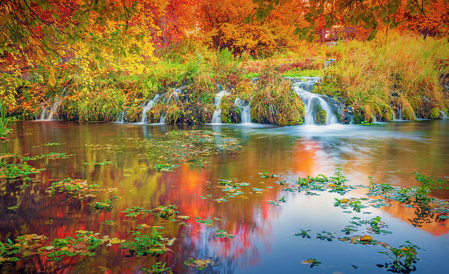 Mountain Photograph - Cascade Springs Fall Colors Reflection by Wasatch Light