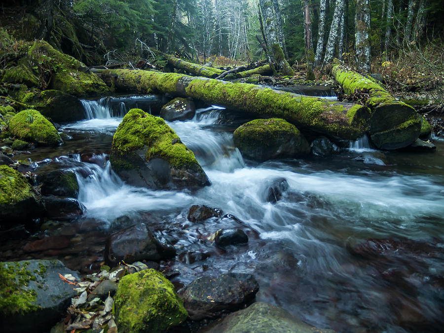 Cascade Stream Photograph by Steven Clark