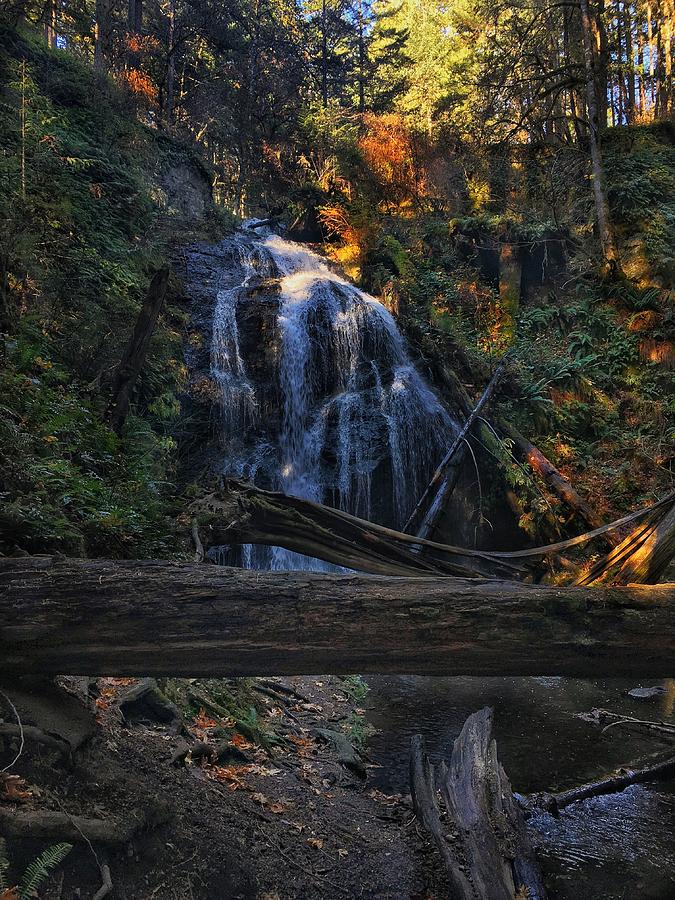 Cascade Waterfall 2019 2 Photograph by Jerry Abbott