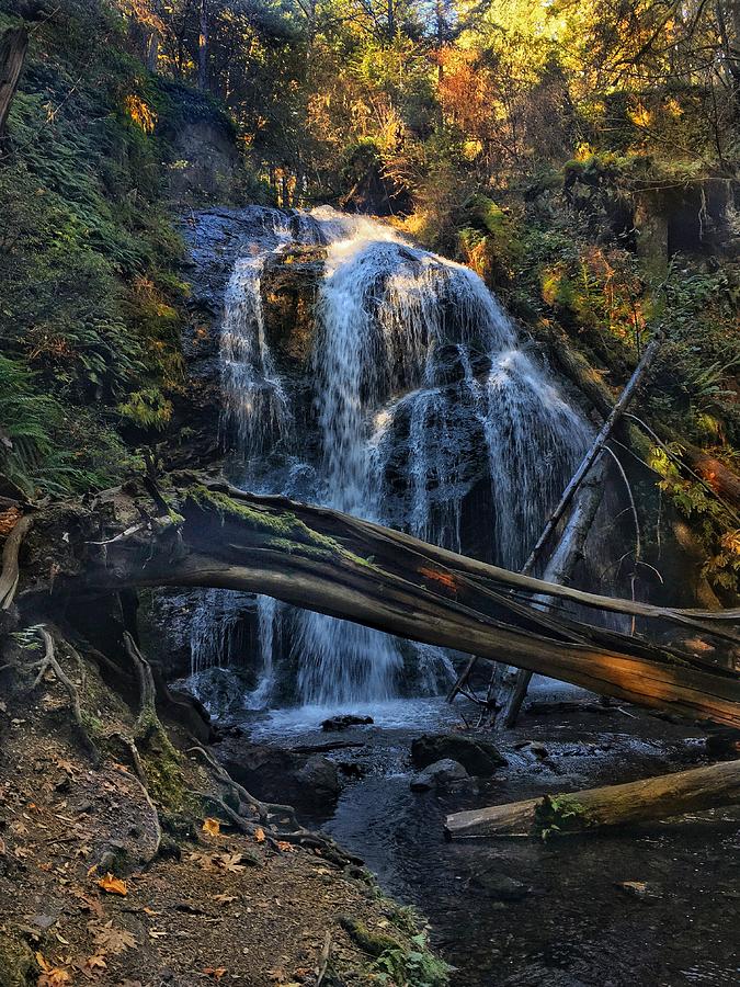 Cascade Waterfall 2019 Photograph by Jerry Abbott