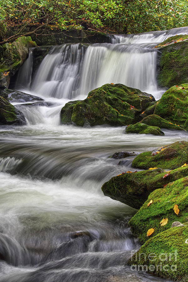 Cascades And Moss Photograph by Phil Perkins