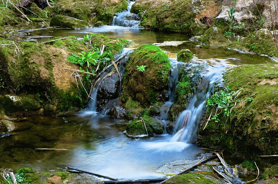 Cascades in a peaceful creek scenery Photograph by Angelo DeVal