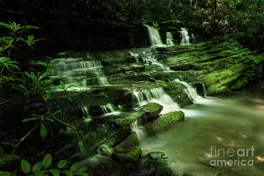 Cascades in the Smokies Photograph by Theresa D Williams