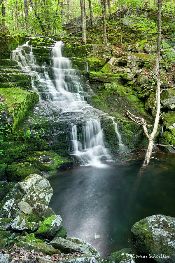 Cascades Of Falls Brook Photograph by TS Photo