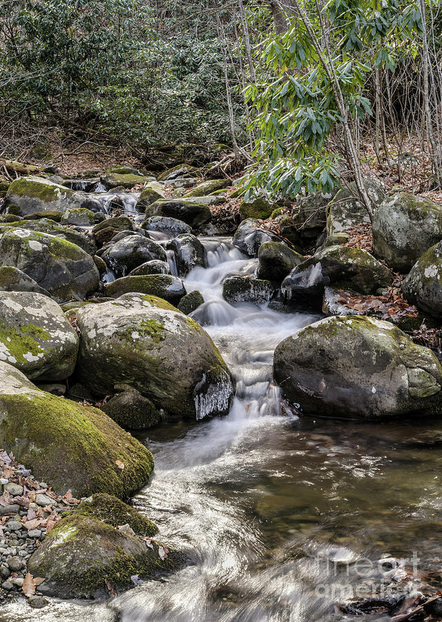Mountain Photograph - Cascading Creek on Roan Mountain, Tennessee by John Arnaldi