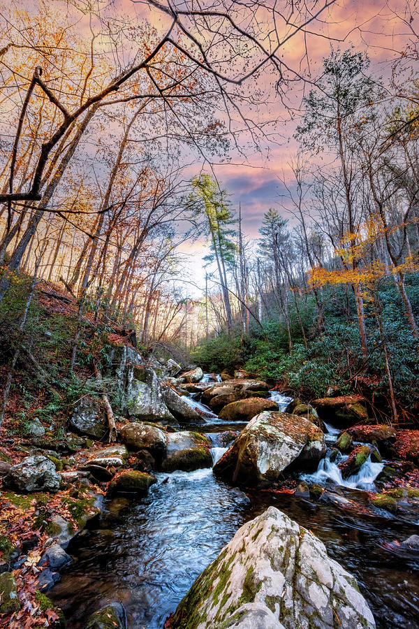Fall Photograph - Cascading Over Rocks by Debra and Dave Vanderlaan
