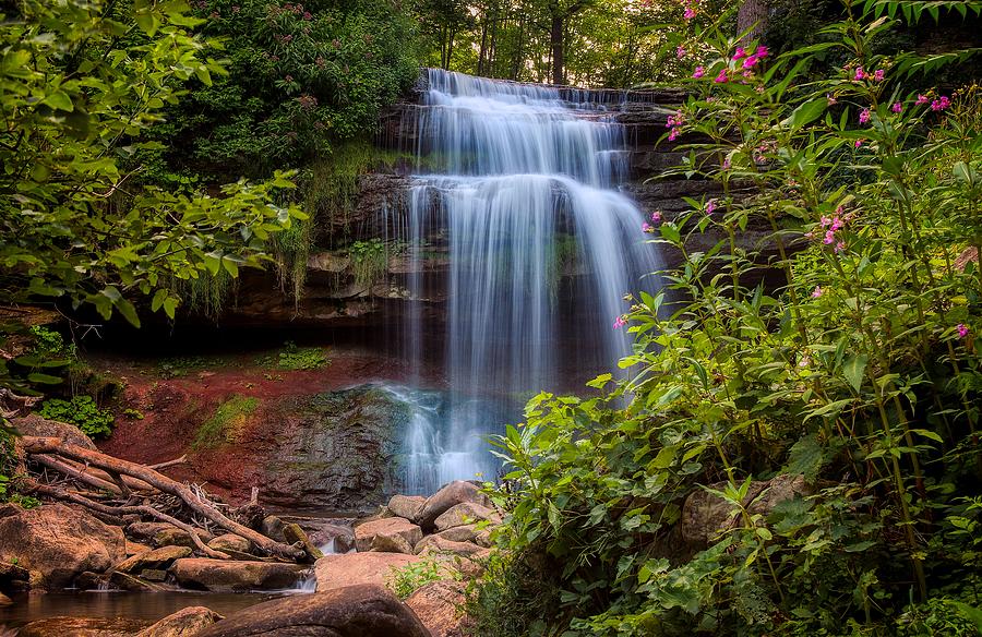 Cascading Serenity Photograph by Joe deSousa - Fine Art America