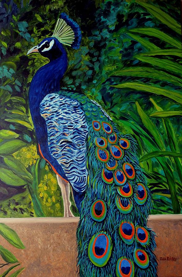 Cascading Splendor Peacock Painting by Julie Brugh Riffey