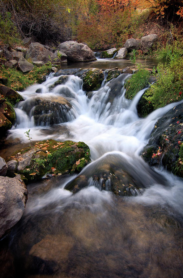 Cascading Stream 2 Photograph by David Kocherhans - Fine Art America