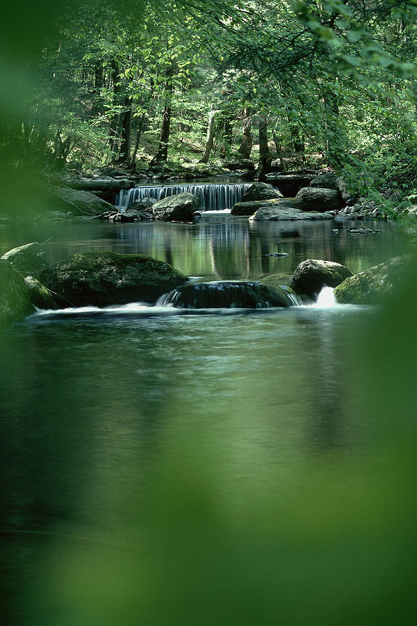Cascading stream in Ricketts Glen State Park Photograph by Comstock