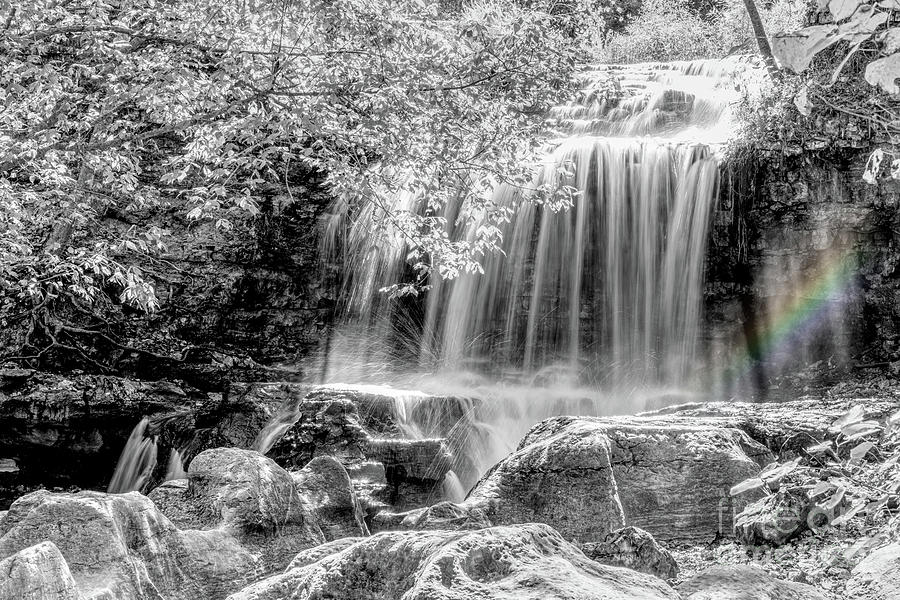Cascading Tanyard Creek Waterfall Selective Color Photograph by Jennifer White