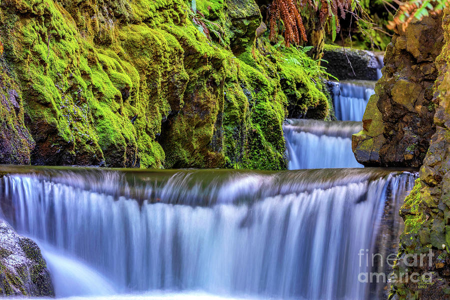 Cascading Waterfall, Nature, Photograph by David Millenheft