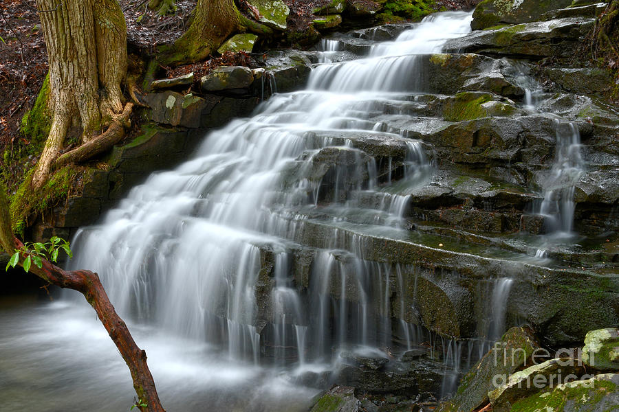 Cascading Waterfall Photograph by Phil Perkins