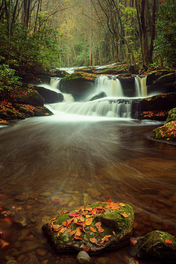 Cascading Waterfalls Photograph by Darrell DeRosia