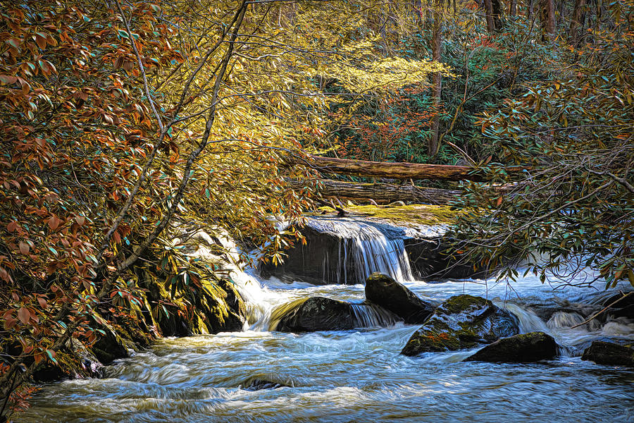 Cascading Waters in the Autumn Mountains Photograph by Debra and Dave Vanderlaan