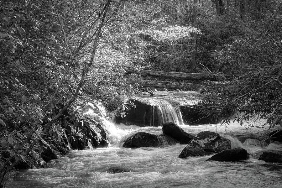 Cascading Waters in the Mountains Black and White Photograph by Debra and Dave Vanderlaan