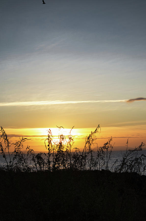 Cascais Sunrise Coast Photograph by Portia Olaughlin