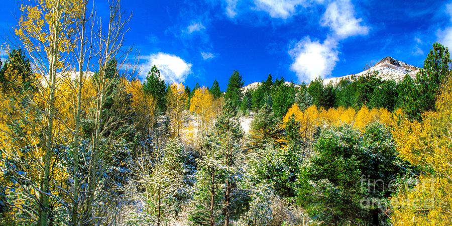 Carson Pass autumnal  Photograph by Michael McCormack