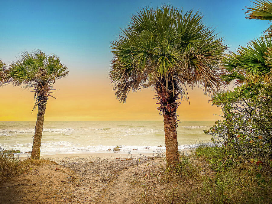 Caspersen Beach, Venice, Florida at sunset with palm trees. Photograph ...