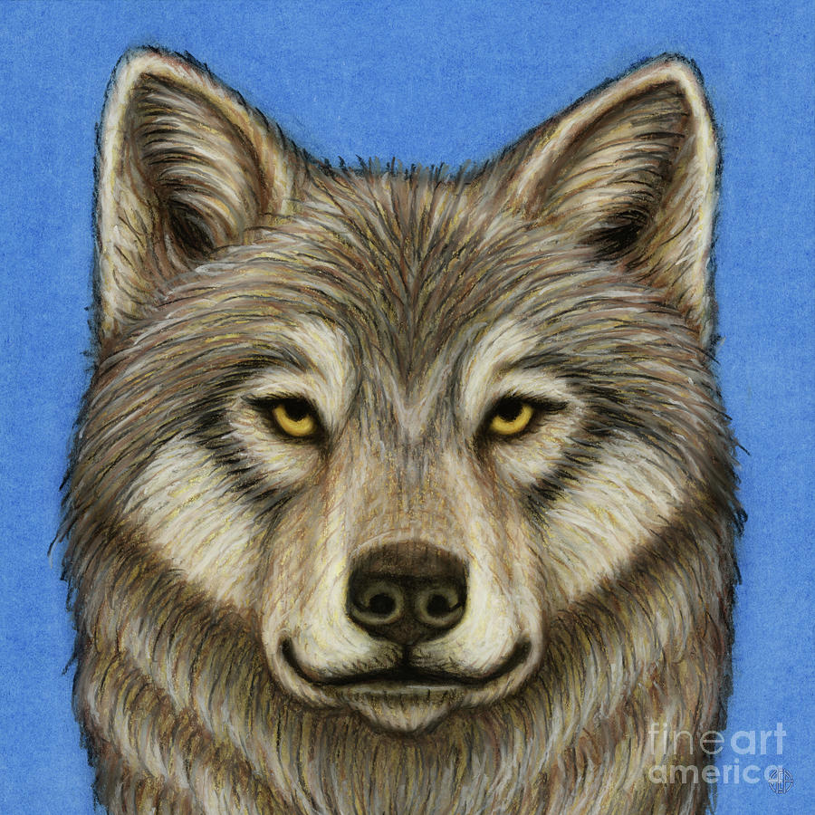Caspian Sea Wolf Painting by Amy E Fraser