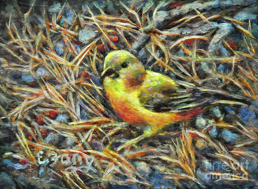 Cassia Crossbill with Fallen Pine Needles Painting by Eileen  Fong