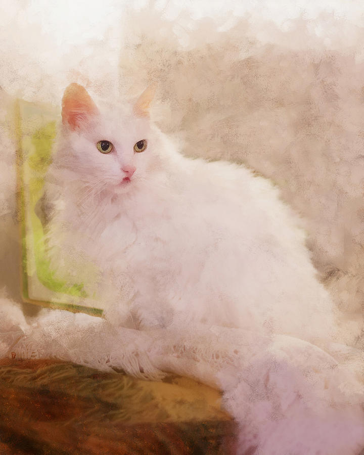 White Cat Photograph - Cassie by SL Ernst