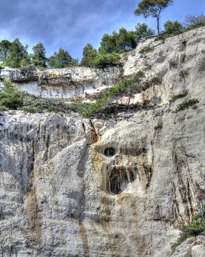 Cassis Large Vertical Mouth Digital Art By Jules Follett Pixels 5421