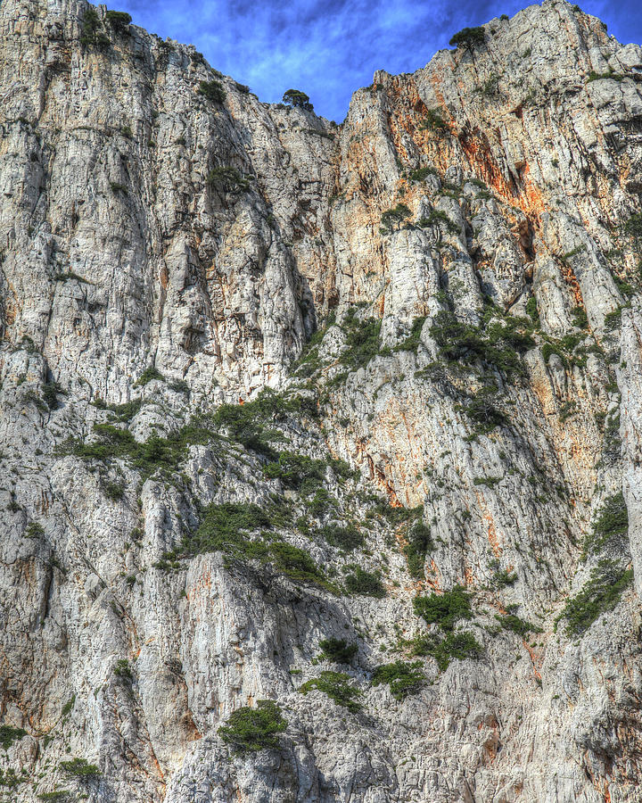 Cassis Vertical Orange Top Digital Art By Jules Follett Pixels 8797