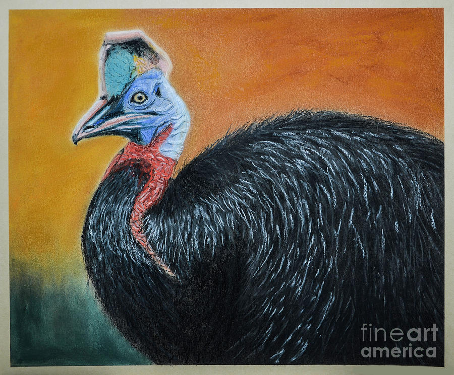 Cassowary in Profile Pastel by Elaine MacKenzie - Pixels