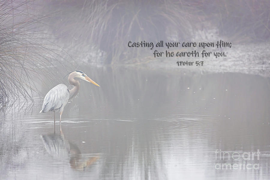 Heron Photograph - Cast Your Cares on Him 1Peter 5 7 Scripture by Joan McCool