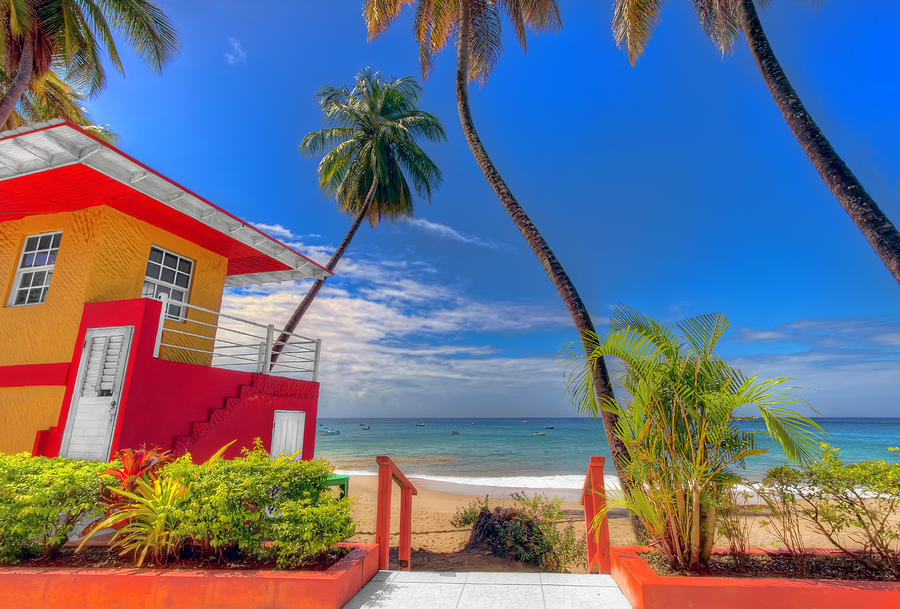 Castara Bay, Tobago Photograph by Nadia Sanowar