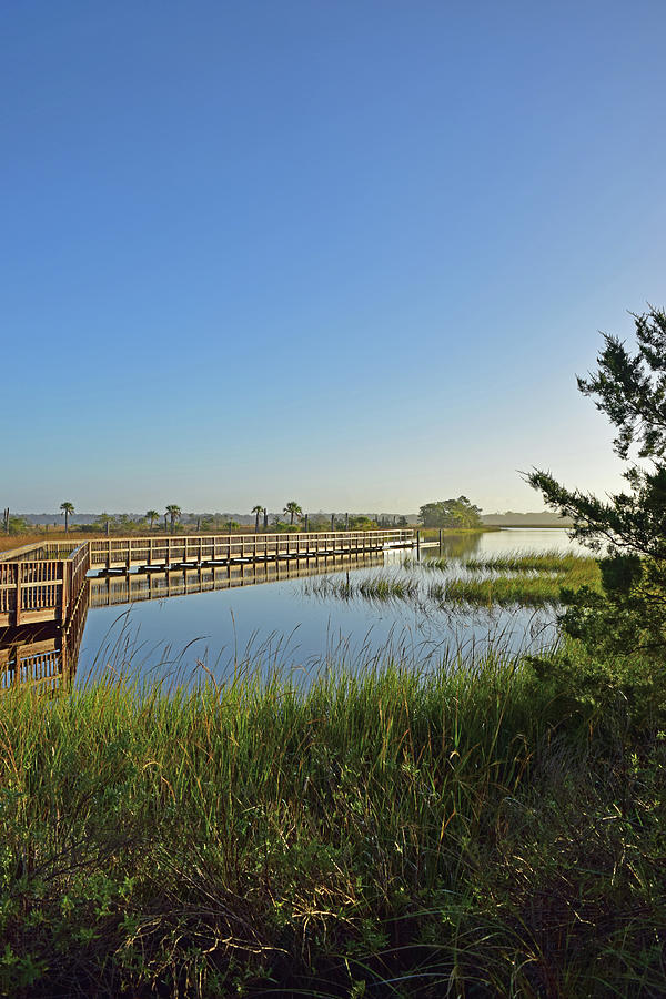 Castaway Island Preserve walkway, Jacksonville, Florida Photograph by Christey Merton