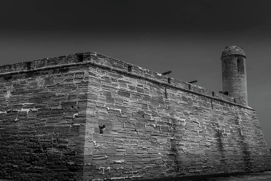 Castillo de San Marcos  Photograph by Debra Forand