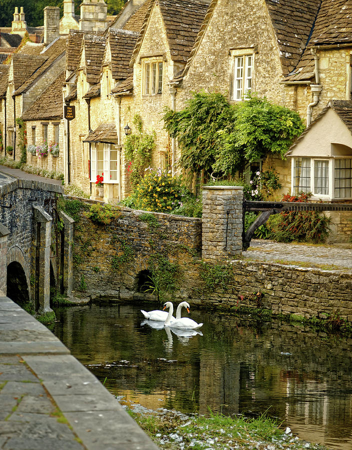 Castle Combe Swans by Mike-Hope Photograph by Mike-Hope