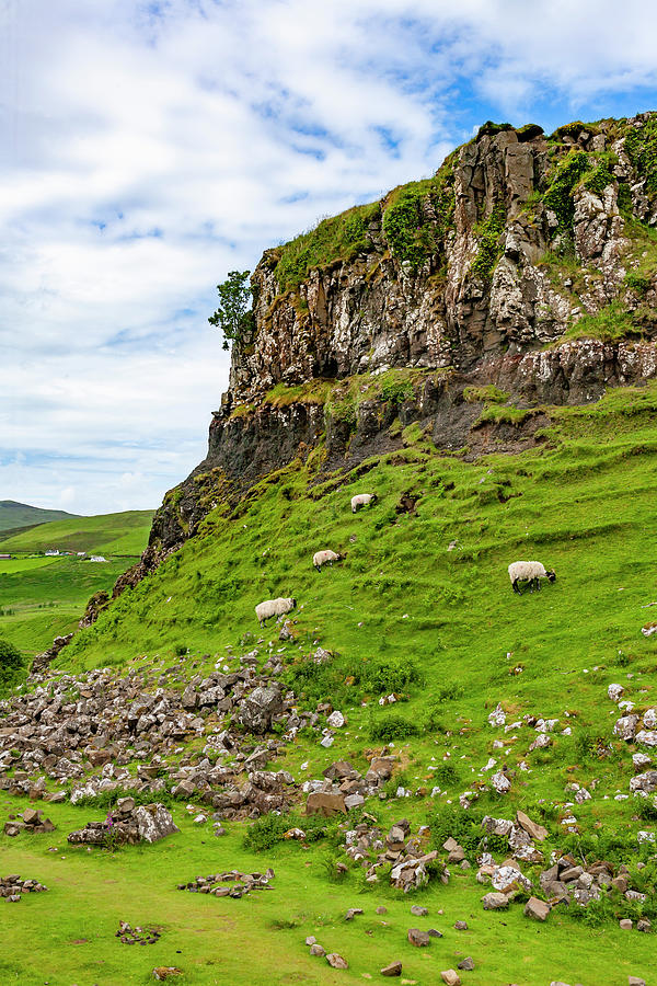 Waterfall Photograph - Castle Ewan with Sheep, Fairy Glen, Scotland by Gina Kelley