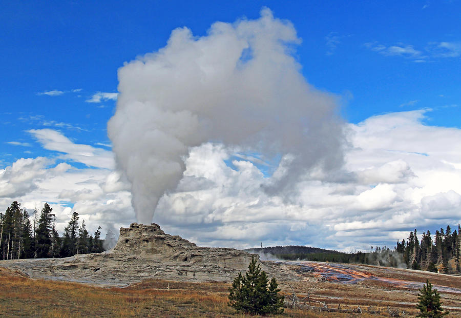 Castle Geyser in Upper Geyser Basin of Yellowstone National Park in Wyoming, USA Photograph by Zen Rial