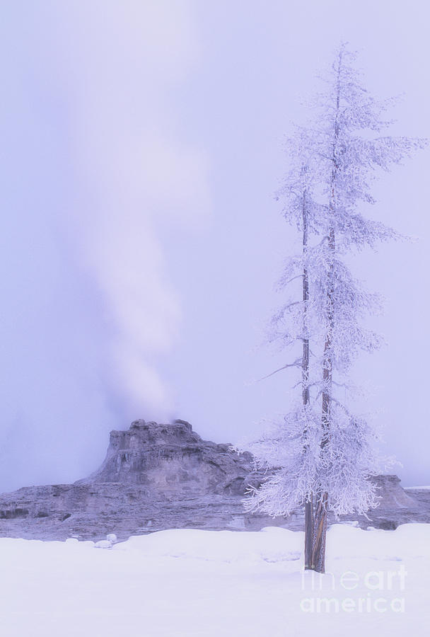 Castle Geyser Mist Winter Yellowstone National Park Photograph by Dave Welling