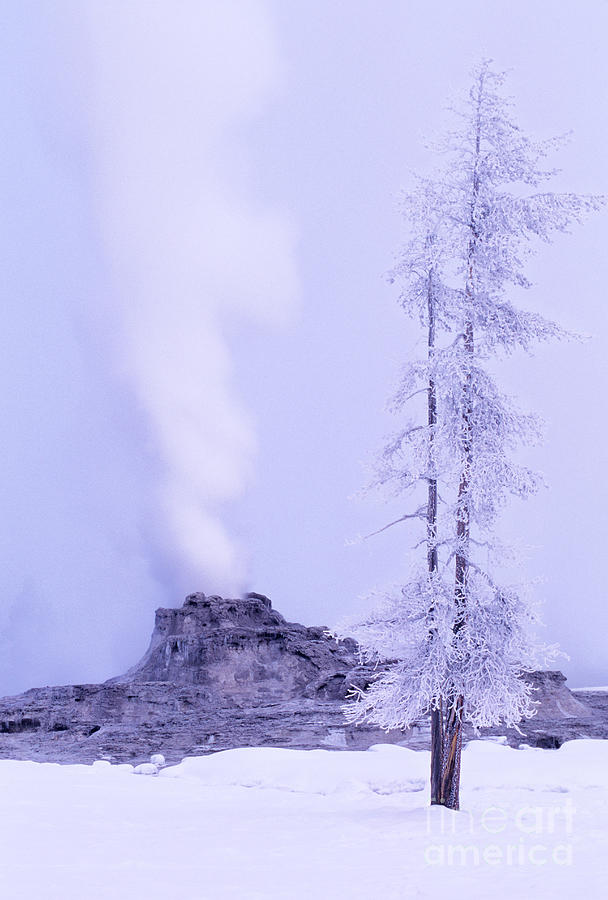 Castle Geyser Winter Yellowstone National Park Wyoming Photograph by Dave Welling