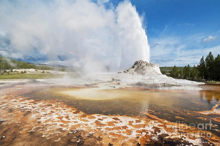 Castle Geyser, Yellowstone national park, Wyoming, USA Photograph by Neale And Judith Clark