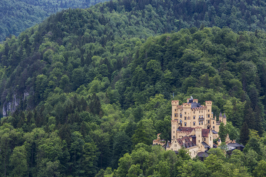 Castle Hohenschwangau Photograph by MOAimage