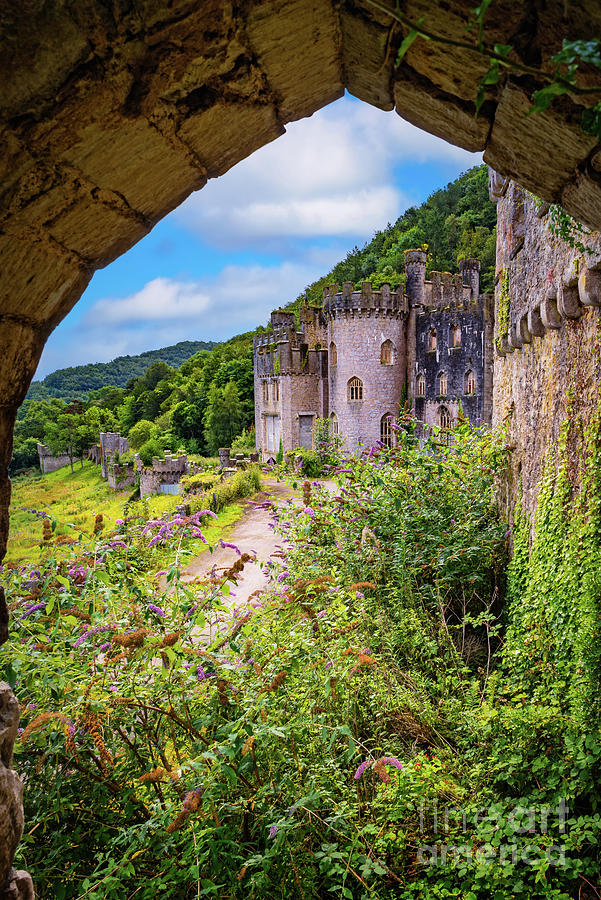 Castle In Wales  Photograph by Adrian Evans