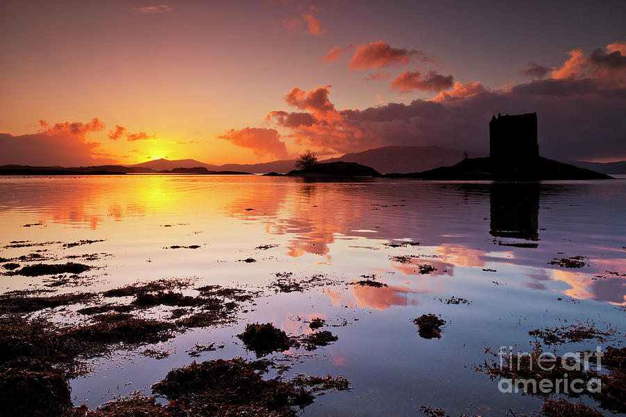 Castle Stalker sunset, Loch Linnhe, Argyll, Scotland Photograph by Neale And Judith Clark