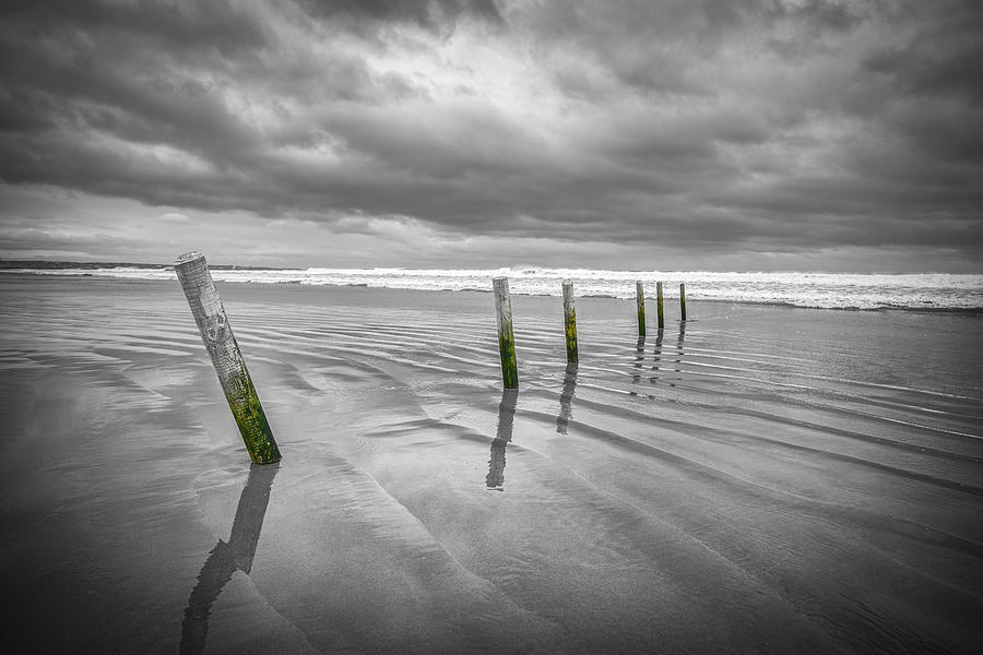 Castlerock Beach Posts Photograph by Nigel R Bell